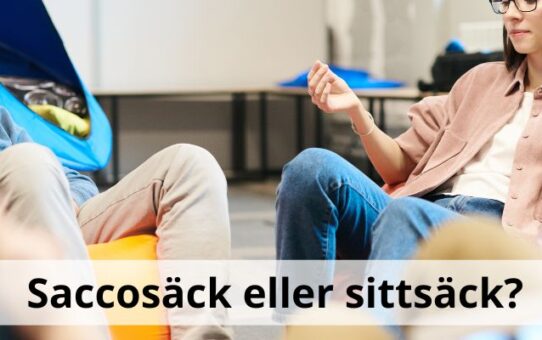 Är saccosäck och sittsäck samma sak?